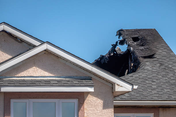 Top rated local Odor Removal specialists in Alexandria, MN